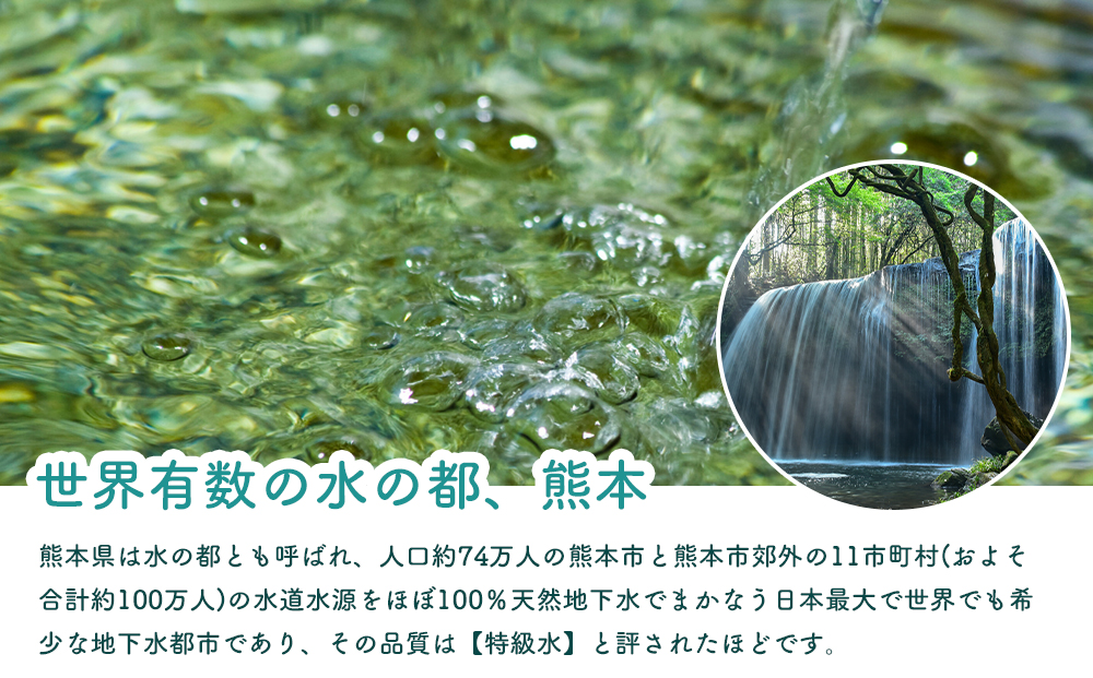 熊本のおいしいお水 阿蘇のメイスイ 2L×6本 1箱 天然水 水 人気 ミネラルウォーター ミネラル 熊本 阿蘇 備蓄 防災 美味しい ドリンク 飲料水 飲料