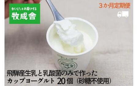 ＜牧成舎定期便 3カ月＞飛騨の牛乳屋 牧成舎 生乳100％砂糖不使用プレーンヨーグルト20個 朝食におすすめ 無糖ヨーグルト プレーンヨーグルト 砂糖不使用 生乳ヨーグルト 乳製品 DF119