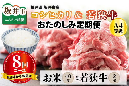 【定期便 8回コース】 坂井市産コシヒカリ 計40kg ＋ 若狭牛切り落とし 計2kg [J-3219]