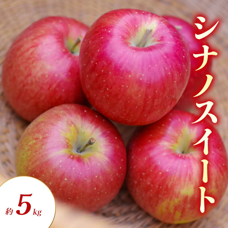 【ふるさと納税】シナノスイート 約5kg りんご リンゴ 林檎 果物 フルーツ 長野県 長野 山ノ内町　お届け：2025年10月上旬～11月上旬