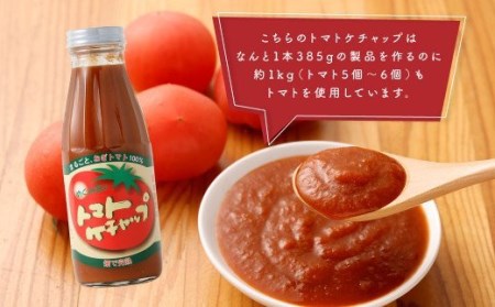 【めぐみ会】トマトケチャップ 12本セット 完熟トマト 手作り