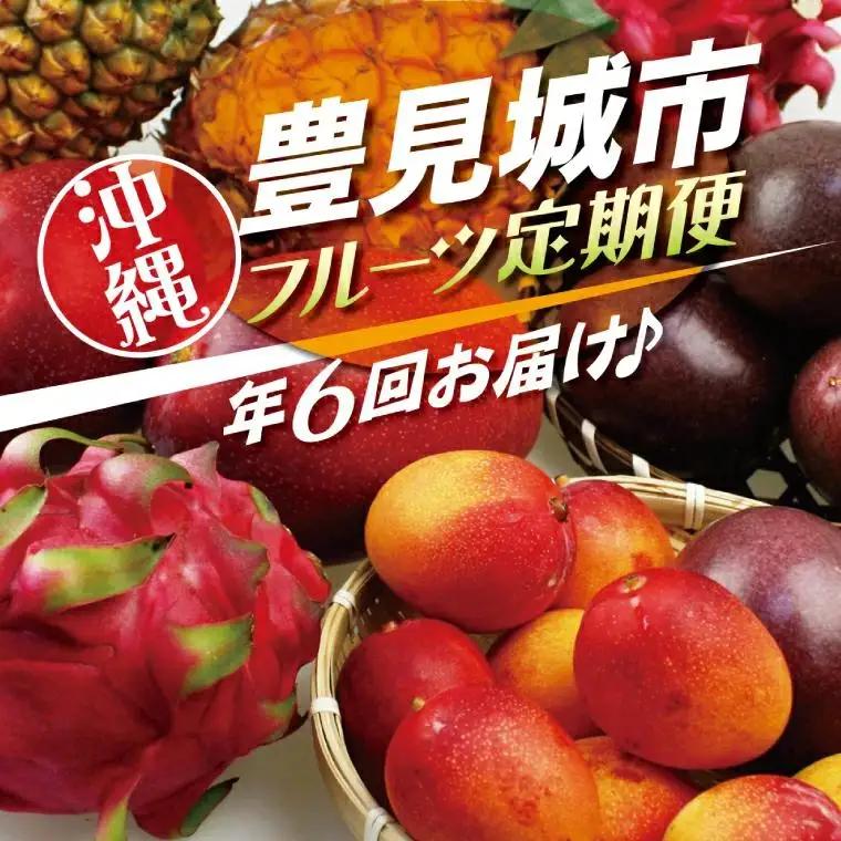 【全6回】人気！沖縄フルーツ定期便 (AC020)