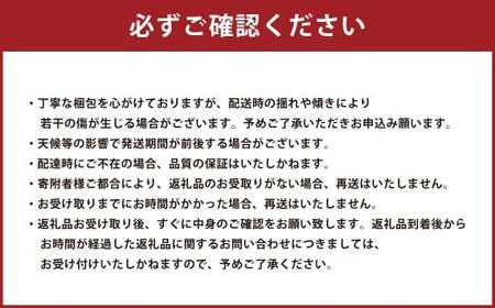 熊本県産 小玉スイカ 2玉 【2026年5月上旬発送開始】 果物 フルーツ スイカ 小玉 旬 旬のフルーツ