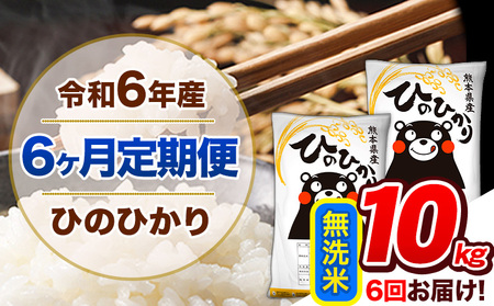 【6ヶ月定期便】令和6年産 定期便 無洗米 ひのひかり 10kg 《申込み翌月から発送》令和6年産 熊本県産 ｜人気米 熊本県産米 お米 生活応援米