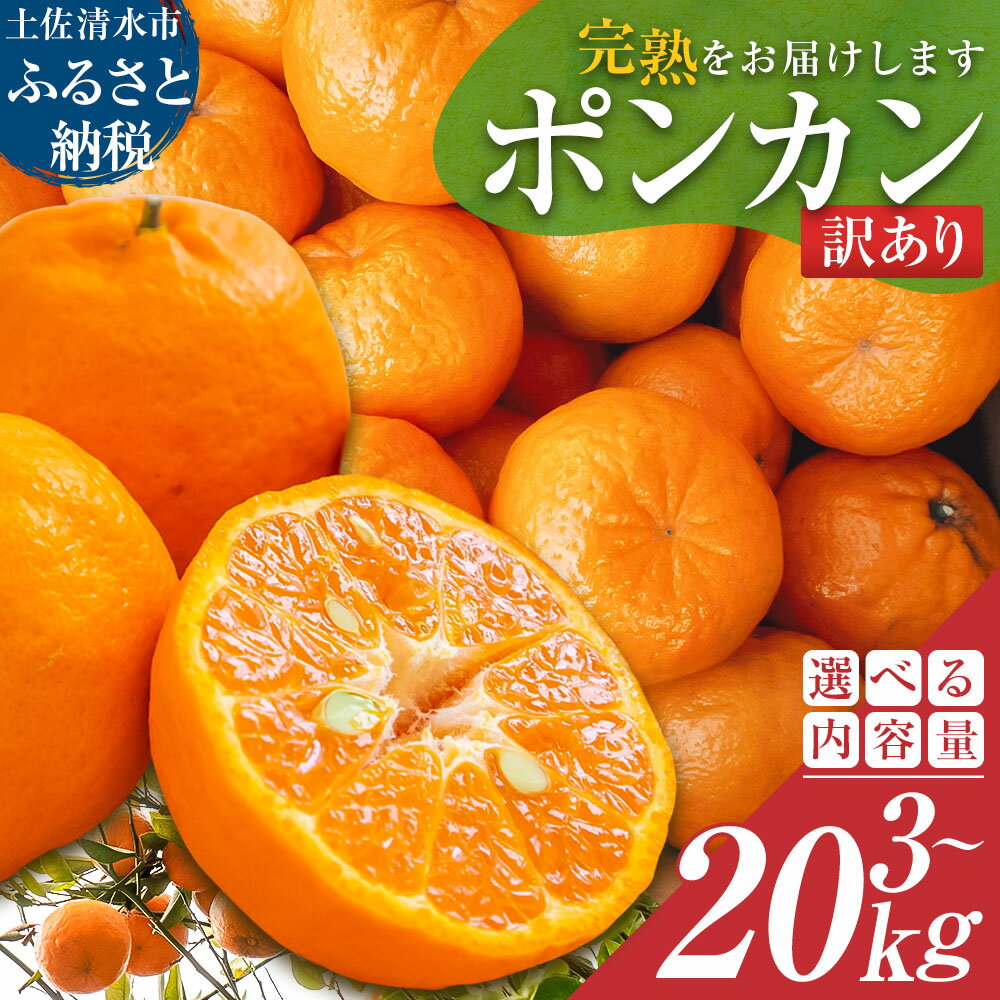 【ふるさと納税】令和8年発送 訳あり ポンカン 国産 3kg 5kg 10kg 20kg ぽんかん みかん ミカン 果物 果実 柑橘 柑橘類 フルーツ でこぽん おやつ デザート 甘い 美味しい おいしい 食感 露地栽培 傷 規格外 家庭用 名物 高知県 高知 土佐清水市 故郷納税 5000円〜【R01080】