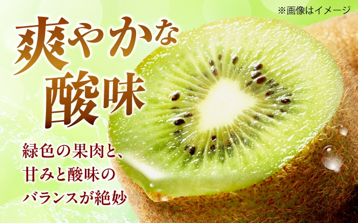 キウイフルーツ キウイ グリーンキウイ キウイ キゥイ キュウイ ジャム 贈答