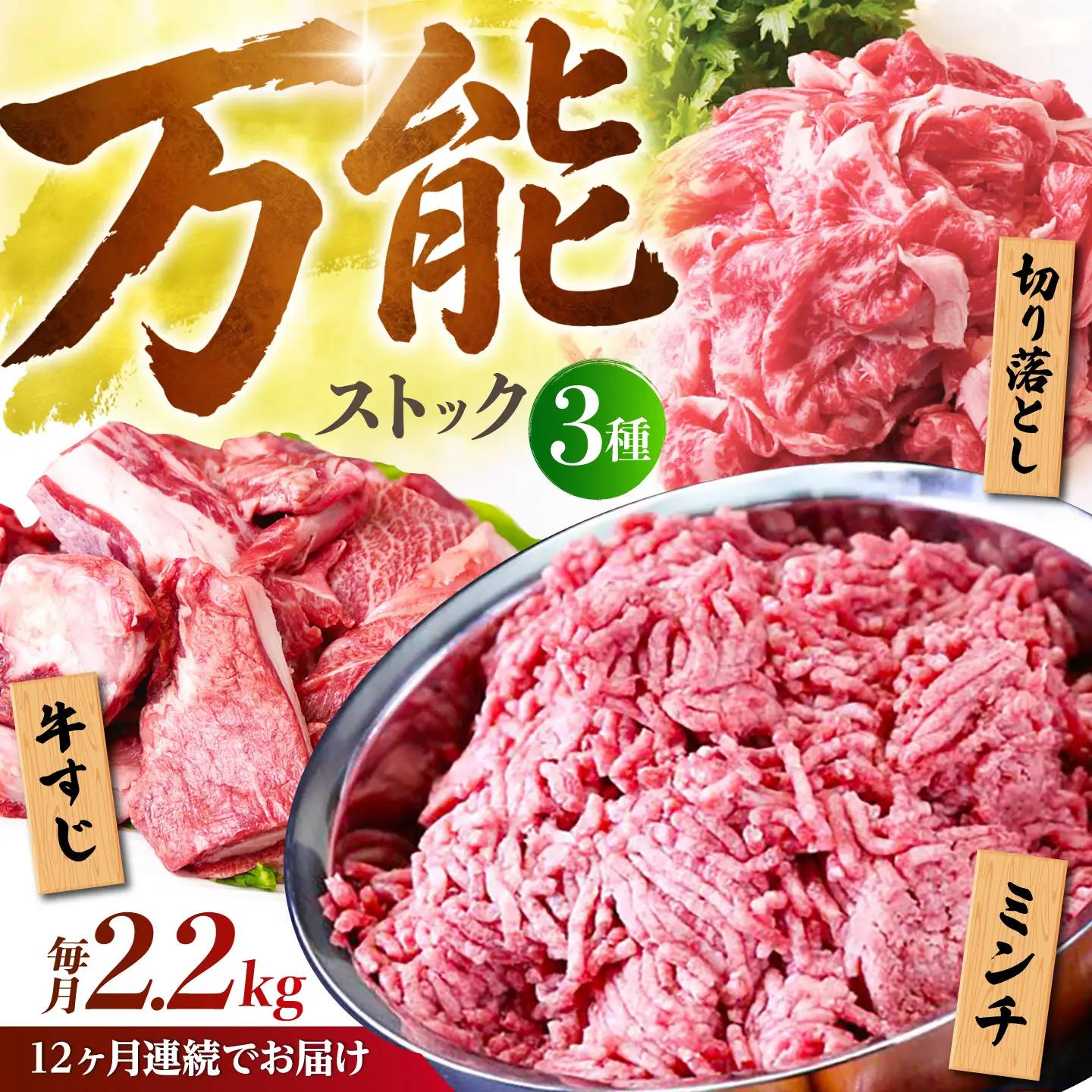 【全12回定期便】佐賀牛 A5 万能ストック3種セットB（切り落とし 1kg・ミンチ 600g・牛すじ 600g） HAD127  佐賀牛