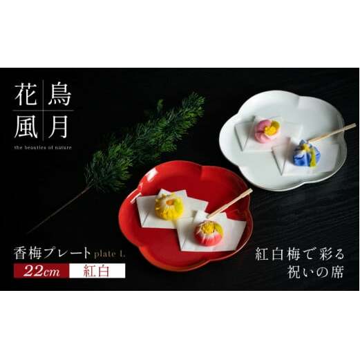【紅白梅で彩る祝いの席】22cm 香梅プレート L 紅白 2枚セット【金照堂】有田焼 祝いの席 ハレの日 正月 大皿 プレート 食器セット 器 皿 A45-378