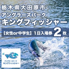 【女性or中学生2枚セット】キングフィッシャー1日入場券