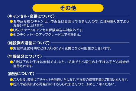 【 USJ 】ユニバーサル・スタジオ・ジャパン　1デイ・スタジオ・パス　大人(12歳以上) _OS294-0001