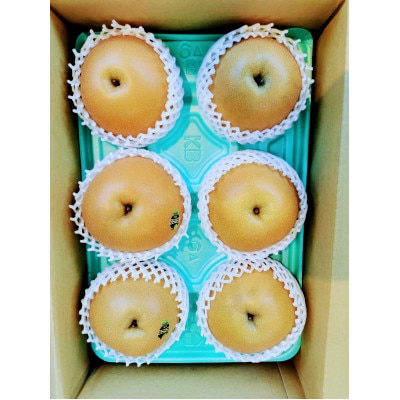 栃木県佐野市産　梨「にっこり」5～7玉入り(1玉 約700g～1,000g)