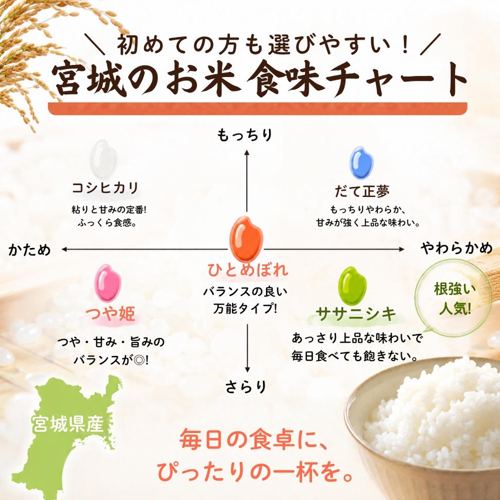【先行予約】【令和8年産】【新米】【令和8年10月中旬～下