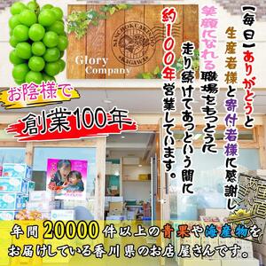 《2026年発送》大粒 シャインマスカット セット 秀品 約5kg ( 6～10房 )  2026年発送 ｜ 香川産 ぶどう マスカット
