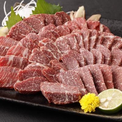ふるさと納税 高森町 【カナダ産国内肥育】熊本直送　馬刺し　大トロ500g(高森町)