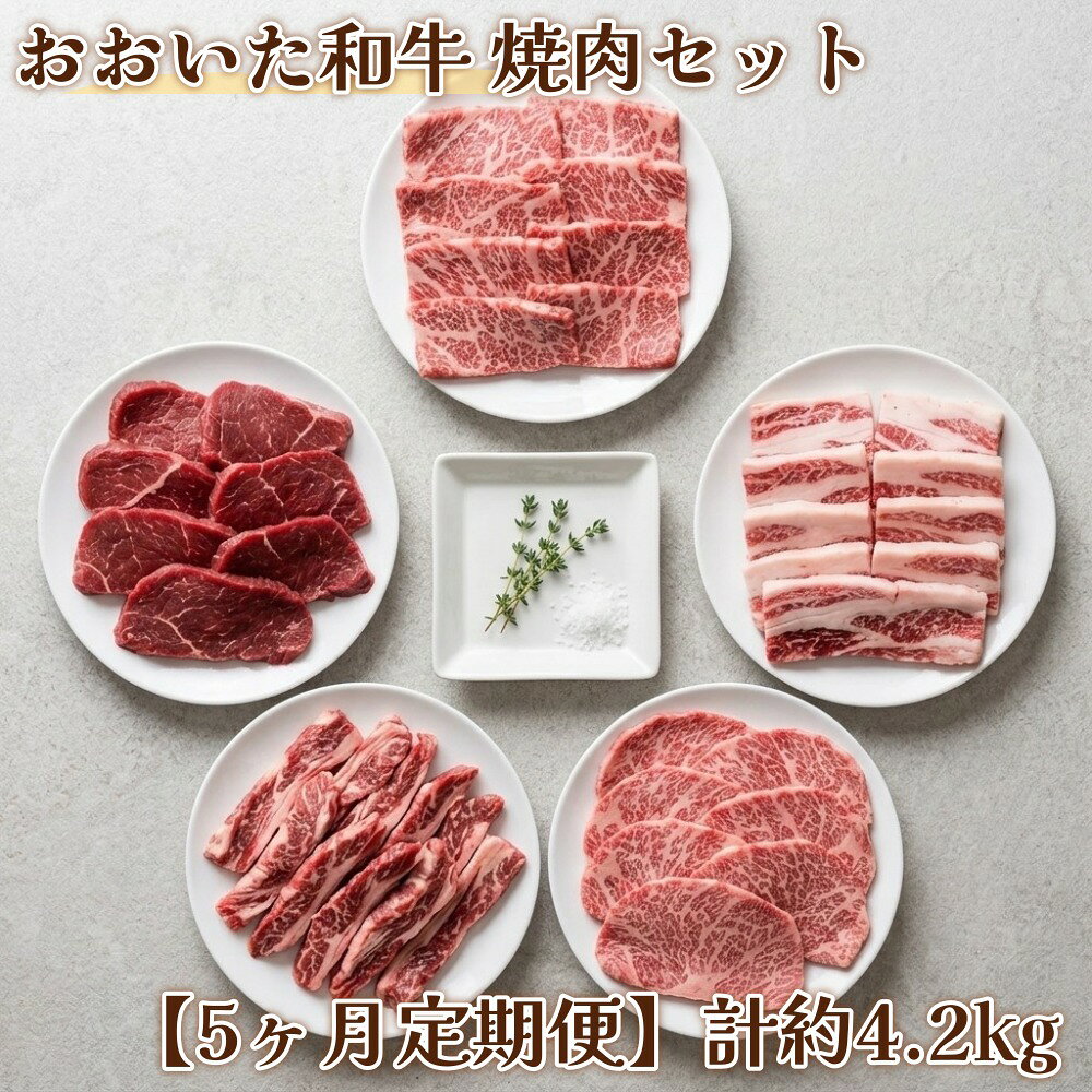【ふるさと納税】【5ヶ月定期便】毎月届く焼肉セット！おおいた和牛焼肉セット 計約4.2kg