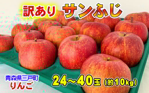 【訳あり】りんご【サンふじ】約10kg（24～40玉）【2025年産・先行予約】★2026年1月以降順次発送予定★ 青森県三戸町産