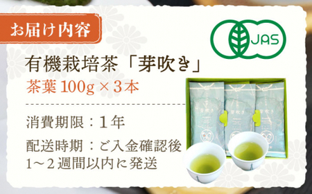 【あっさりとした有機栽培茶】さざの有機栽培茶 芽吹き 100g×3本セット【宝緑園】[QAH006]