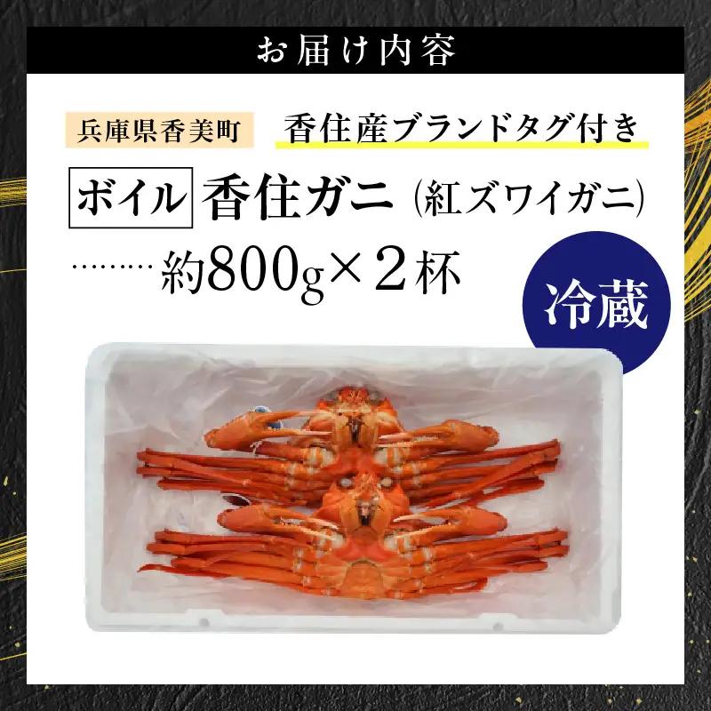《ボイル》 香住ガニ 大 タグ付き 2枚【令和8年11月以降発送予定】かに カニ 03-08