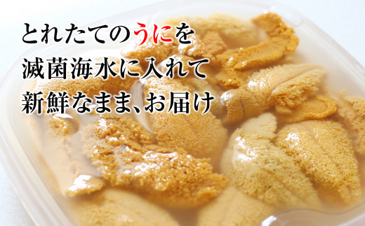 【4月下旬〜発送】ミョウバン 不使用 生うに 牛乳瓶 入り 150g × 2本 【配送日指定不可】［23］　