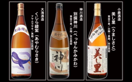 No.10004 大隅蔵めぐり　飲み比べ一升瓶10本セット