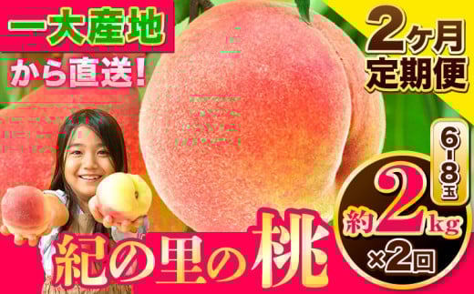 桃 もも～とろける甘さ～和歌山県産 紀の里の桃 【2ヶ月定期便】約2kg (6-8玉入り) 2回 お届け【先行予約】《6月中旬-8月中旬頃出荷》 桃 2025年 先行 桃 先行予約2025 もも2025 白鳳 日川白鳳 八旗白鳳 清水白桃 川中島白桃 つきあかり もも 白鳳 先行予約 もも川中島 もも2025 もも 白鳳 先行予約 もも 先行予約 もも 和歌山 もも