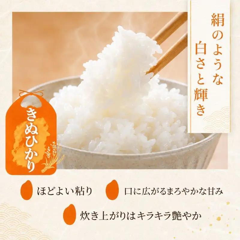 【令和8年産】 先行予約 新米 きぬひかり 白米 5kg 米 精米 こめ コメ お米 ご飯 キヌヒカリ 5キロ 令和8年 令和8年度産 令和八年 令和八年産 滋賀県 豊郷 豊郷町