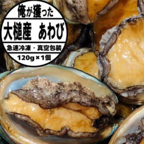 【2026年11月～発送】三陸産天然活あわび 120g相当×1個【冷凍】【35】｜11月～12月発送 三陸 岩手県 大槌町 あわび 人気 鮑 刺身 いわて iwate 初栄丸