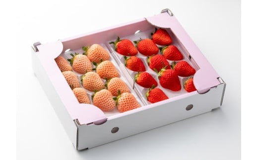 【２月】岸川農園のさがほのか＆淡雪