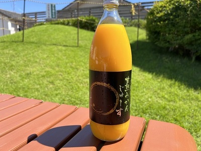 仲森農園の【麗紅甘熟みかんじゅーす】（3本） みかん 100% オレンジジュース れいこう 柑橘 ストレート ドリンク フルーツ【nkmr0007】