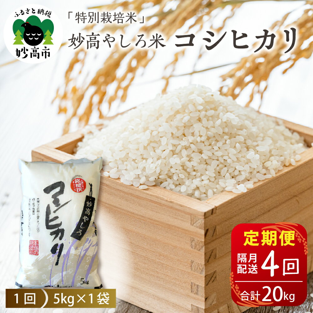 【ふるさと納税】 令和7年産 【定期便：隔月4回】 新潟県 妙高やしろ米 コシヒカリ 20kg ( 5kg ×4回 ) 【11月中旬より発送】 定期便 隔月 お米 米 コメ 精米 新潟 妙高市 米どころ こめ ご飯 ごはん ライス 弁当 新潟県 妙高市