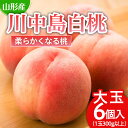 【ふるさと納税】川中島 白桃 秀品 大玉 6個入 1箱 1.8kg以上[やわらかくなる桃] 【令和6年産先行予約】FU21-007 フルーツ くだもの 果物 お取り寄せ 先行予約