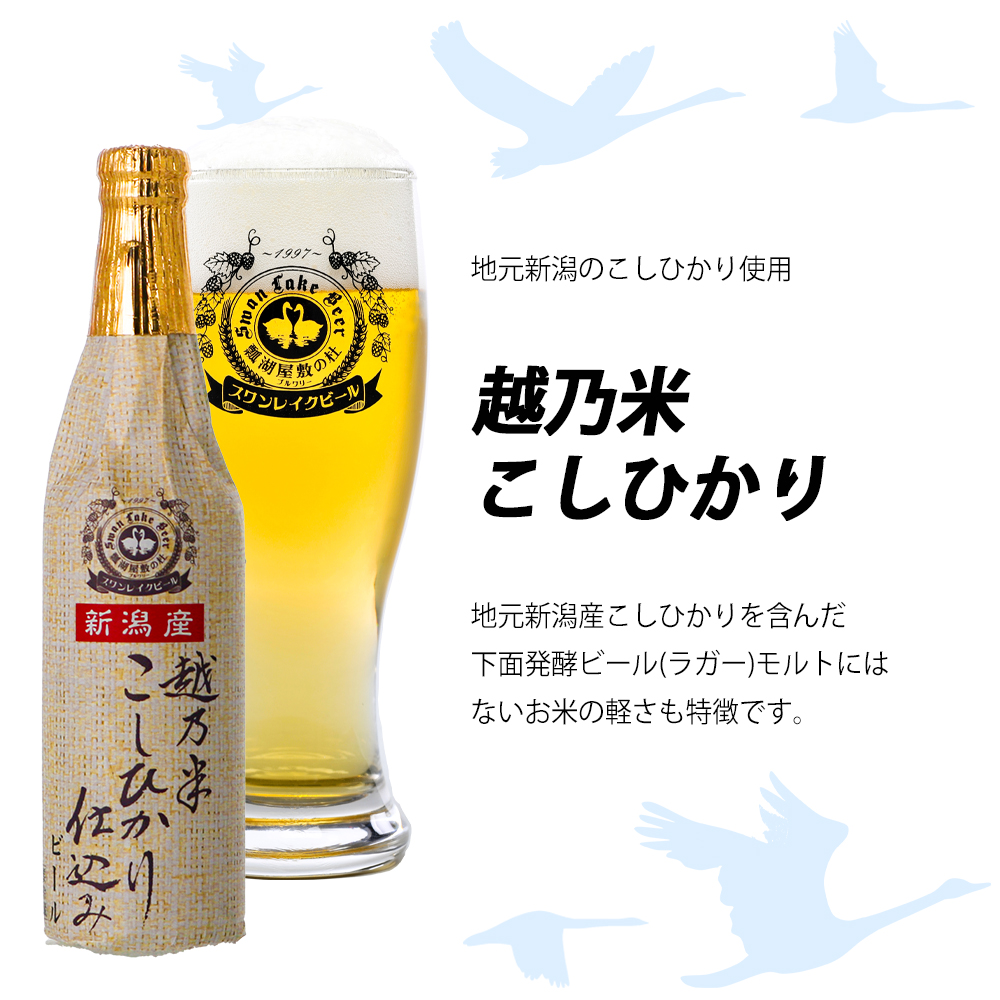 ビール スワンレイクビール 金賞受賞入り こしひかり仕込みビール2本セット 阿賀野市 新潟県 阿賀野 クラフト 飲み比べ クラフトビール お酒 1S46006