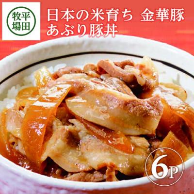 ふるさと納税 酒田市 【平田牧場】 金華豚◆あぶり豚丼セット　130g×6パック