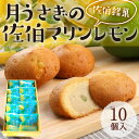 【ふるさと納税】月うさぎの佐伯マリンレモン (計10個) レモン レモンケーキ スイーツ スウィーツ 菓子 焼き菓子 洋菓子 おやつ セット 個装 大分県 佐伯市【ER002】【(株)古川製菓】