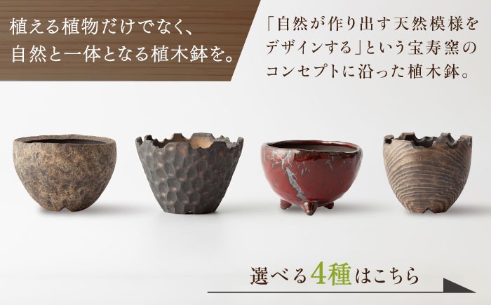 【宝寿窯】4種から選べる 植木鉢 ( 小 ) [UCN026] 焼き物 やきもの インテリア フラワーポット