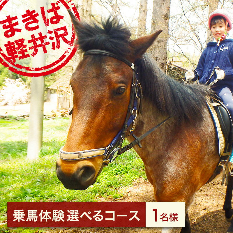 【ふるさと納税】乗馬 体験 まきば軽井沢 乗馬体験 1名様 選べるコース　お届け：通年