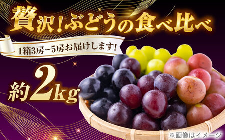 【先行予約】＜赤秀＞ 種無しぶどう セット 3-5房 2kg BKCI001 ぶどう