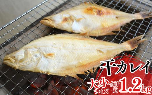 【干物 干カレイセット 合計1.2kg以上（大5～8枚 約600g、小11～15枚 約600g）香住産 冷凍】 ふるさと納税 送料無料 南蛮漬 唐揚げ お酒のお供 日本海 香住港 柴山港 兵庫県 香美