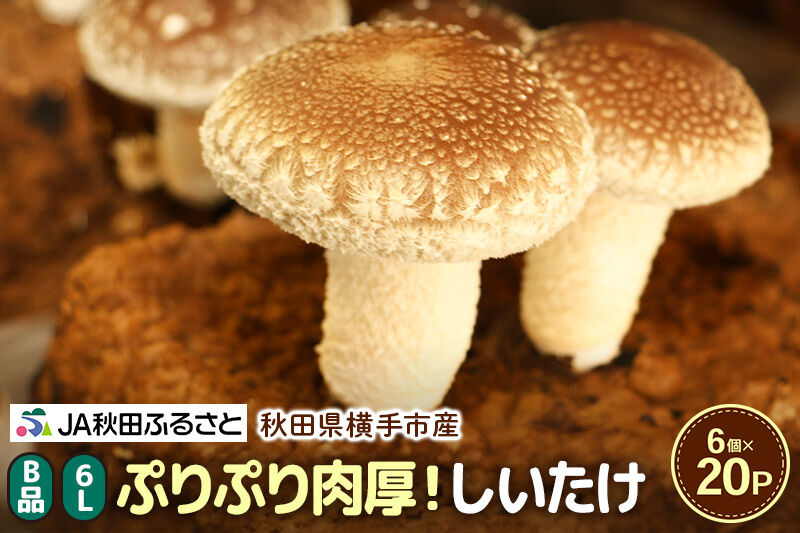 しいたけ B品 6L（約150g）×20パック [椎茸 しいたけ シイタケ きのこ]