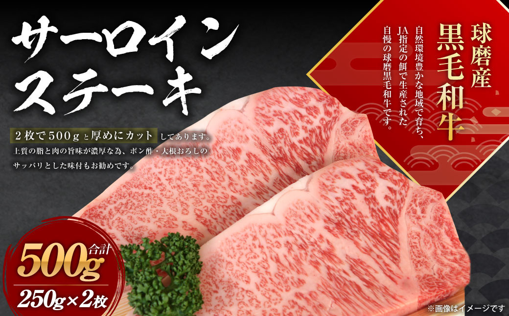 
球磨産 黒毛和牛 サーロイン ステーキ 500g (250g×2枚)

