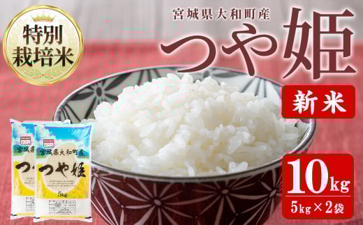 【令和7年産 新米】特別栽培米 つや姫 10kg お米 おこめ 米 コメ 白米 ご飯 ごはん おにぎり お弁当【農事組合法人若木の里】ta537