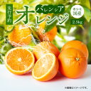 【ふるさと納税】【限定】 【先行予約】希少な 国産 バレンシアオレンジ 2.5kg 秀品【国産オレンジ オレンジ 柑橘 フルーツ 和歌山 有田】