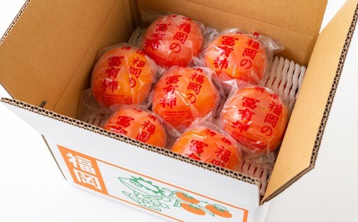 【先行予約】伊藤園 冷蔵富有柿 （3Lサイズ） 12玉から14玉 約5kg 【2025年12月中旬から12月下旬出荷予定】 ／ 富有柿 柿 果物 フルーツ くだもの うきは市
