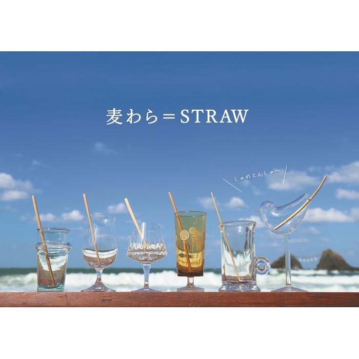【ふるさと納税】麦ストロー　福岡市西区北崎産 | 食器 カトラリー 日用品 人気 おすすめ 送料無料