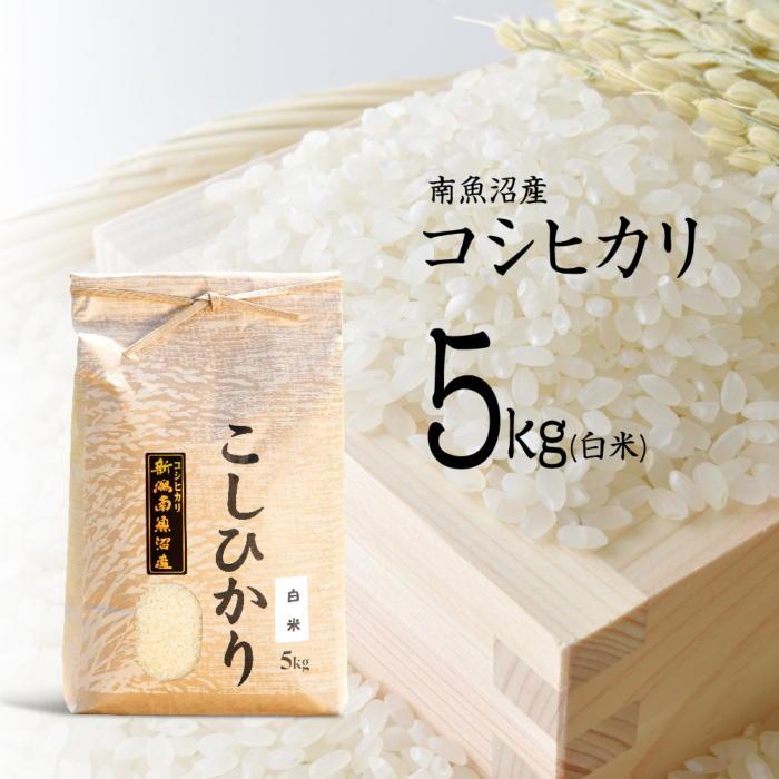 【ふるさと納税】【令和7年産 新米予約】南魚沼産コシヒカリ（白米）【5kg】【令和7年10月中旬以降発送】【米 お米 こしひかり 南魚沼 米 白米 こめ 新潟 米】 | お米 こめ 白米 コシヒカリ 食品 人気 おすすめ 送料無料 魚沼 南魚沼 南魚沼市 新潟県産 新潟県 精米 産直