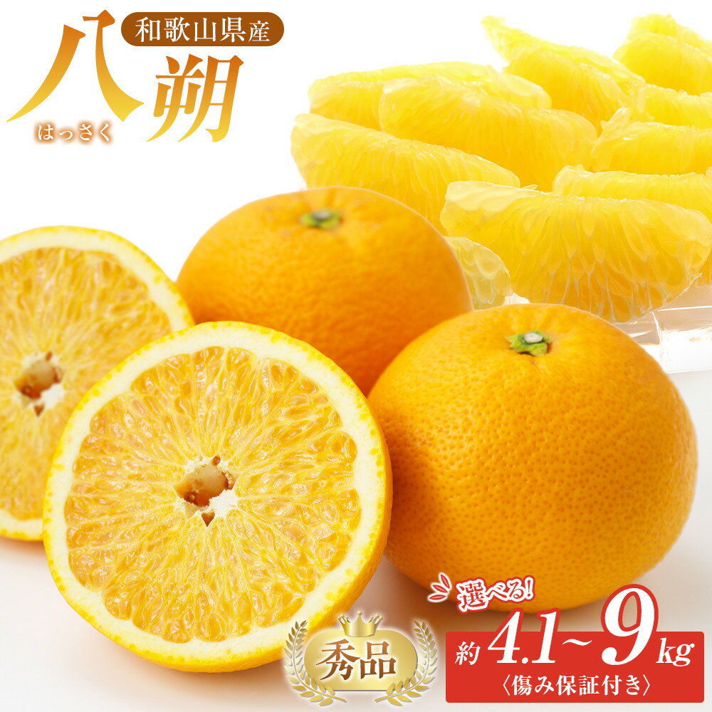 【ふるさと納税】［選べる容量］和歌山県産 八朔 秀品 箱込約5kg（約4.1kg＋保証分500g）or 約10kg（約9kg＋保証分500g） | 和歌山県 和歌山市 和歌山 返礼品 お取り寄せグルメ お取り寄せ 取り寄せ グルメ フルーツ 果物 くだもの はっさく 柑橘 柑橘類 かんきつ類
