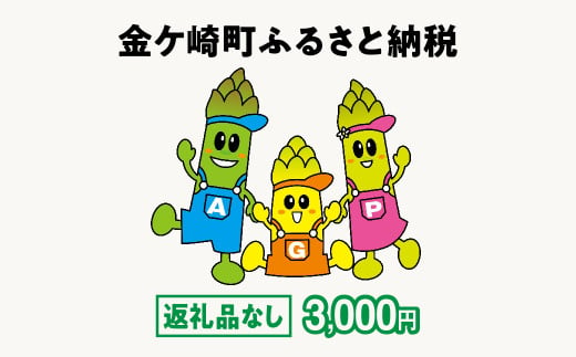 金ケ崎町 ふるさと納税 返礼品なし 【3,000円寄附】