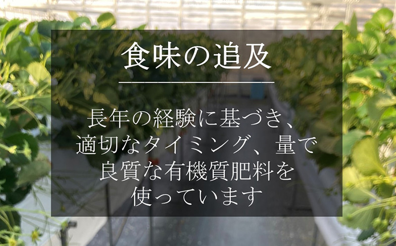 超特大いちご(章姫)　400g以上(6〜8粒、1粒50g以上)　×2箱 ・O046 ／オオダケイチゴ 