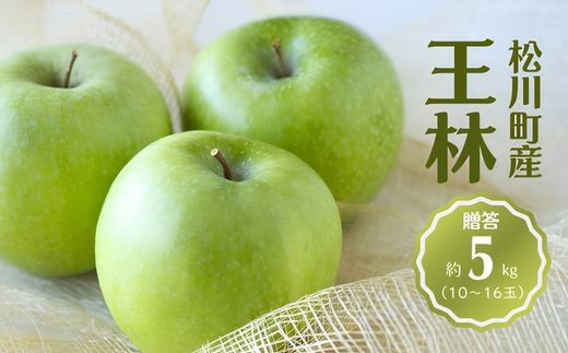 
                  KR33 りんご 王林 贈答 約5kg（10～16玉） 長野県松川町産／11月上旬頃～配送予定//長野県 南信州 リンゴ 林檎 ギフト おうりん 黄緑色りんご 農家直送 農家支援 産地直送
                