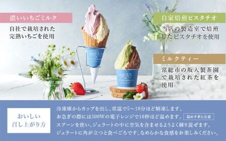 SENDA BANDA ジェラート詰め合わせ〈130ml×6個〉